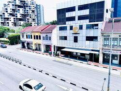 Balestier Road (D12), Apartment #547396431